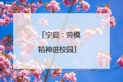 宁夏：劳模精神进校园