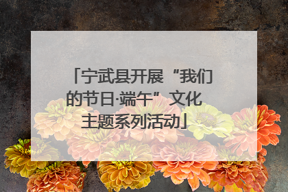 宁武县开展“我们的节日·端午”文化主题系列活动