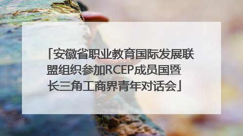 安徽省职业教育国际发展联盟组织参加RCEP成员国暨长三角工商界青年对话会