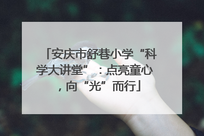 安庆市舒巷小学“科学大讲堂”：点亮童心，向“光”而行