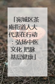宛城区茶庵街道人大代表在行动：弘扬中医文化 把脉基层健康