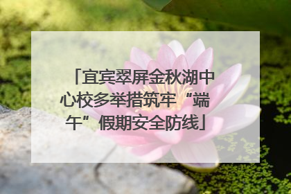 宜宾翠屏金秋湖中心校多举措筑牢“端午”假期安全防线