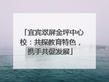宜宾翠屏金坪中心校：共探教育特色，携手共促发展