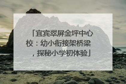 宜宾翠屏金坪中心校：幼小衔接架桥梁，探秘小学初体验