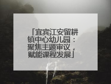 宜宾江安留耕镇中心幼儿园：聚焦主题审议，赋能课程发展