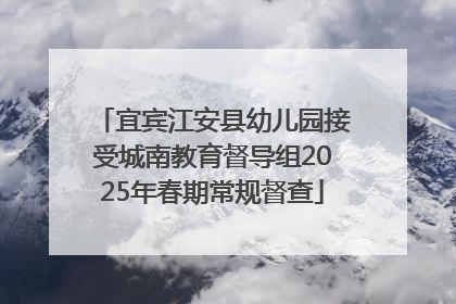 宜宾江安县幼儿园接受城南教育督导组2025年春期常规督查