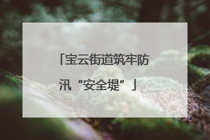 宝云街道筑牢防汛“安全堤”