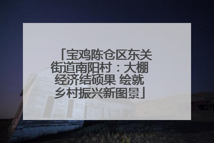 宝鸡陈仓区东关街道南阳村：大棚经济结硕果 绘就乡村振兴新图景