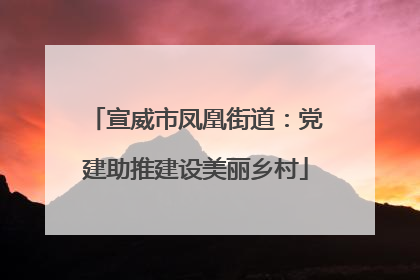 宣威市凤凰街道：党建助推建设美丽乡村