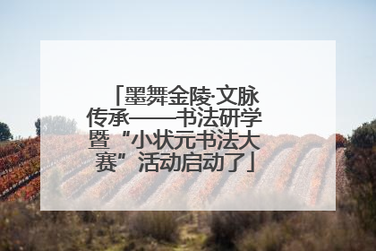 墨舞金陵·文脉传承——书法研学暨“小状元书法大赛”活动启动了