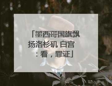 墨西哥国旗飘扬洛杉矶 白宫：看，罪证