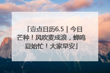 壹点日历6.5｜今日芒种！风吹麦成浪，蝉鸣夏始忙！大家早安