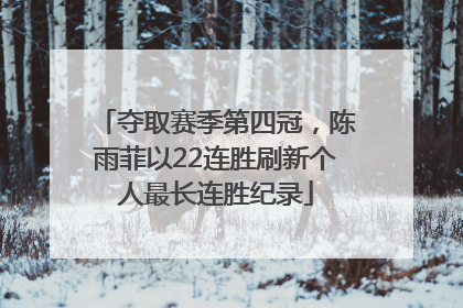 夺取赛季第四冠，陈雨菲以22连胜刷新个人最长连胜纪录