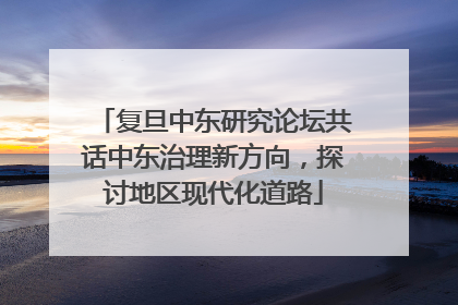 复旦中东研究论坛共话中东治理新方向，探讨地区现代化道路