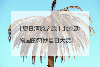 夏日清凉之旅丨北京动物园的奇妙夏日大赏