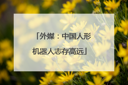 外媒：中国人形机器人志存高远