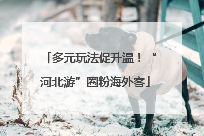 多元玩法促升温！“河北游”圈粉海外客