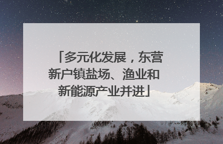 多元化发展，东营新户镇盐场、渔业和新能源产业并进