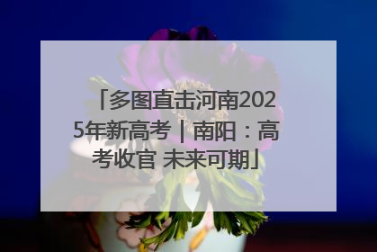 多图直击河南2025年新高考｜南阳：高考收官 未来可期