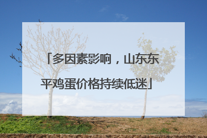 多因素影响，山东东平鸡蛋价格持续低迷
