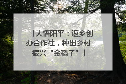 大悟阳平：返乡创办合作社，种出乡村振兴“金稻子”