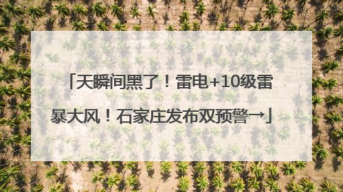 天瞬间黑了！雷电+10级雷暴大风！石家庄发布双预警→