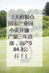 天府粮仓国家产业园小麦开镰：产量三年连涨，亩产584.3公斤！