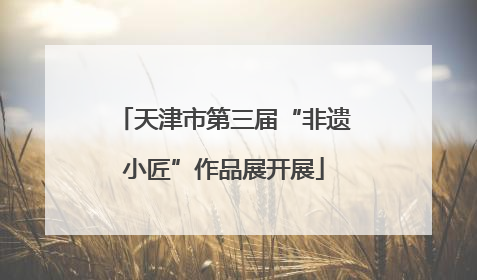 天津市第三届“非遗小匠”作品展开展