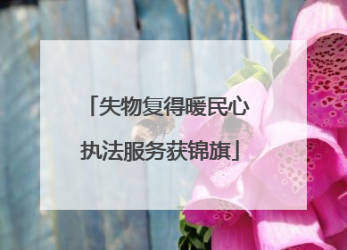 失物复得暖民心 执法服务获锦旗
