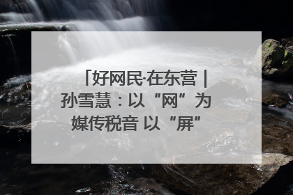 好网民·在东营｜孙雪慧：以“网”为媒传税音 以“屏”为介助发展
