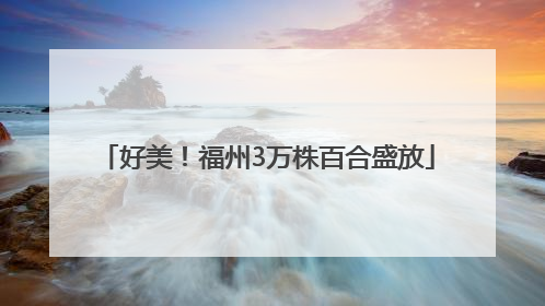 好美！福州3万株百合盛放