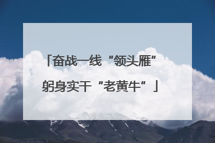 奋战一线“领头雁” 躬身实干“老黄牛”