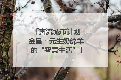 奔流城市计划丨金昌：元生奶绵羊的“智慧生活”