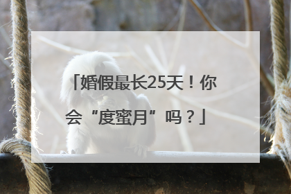 婚假最长25天！你会“度蜜月”吗？