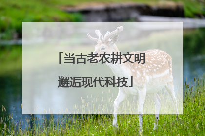 当古老农耕文明邂逅现代科技