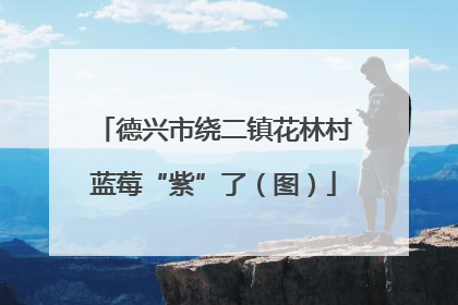 德兴市绕二镇花林村蓝莓“紫”了（图）