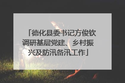 德化县委书记方俊钦调研基层党建、乡村振兴及防汛备汛工作