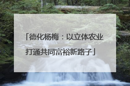 德化杨梅：以立体农业打通共同富裕新路子