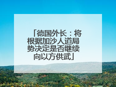 德国外长：将根据加沙人道局势决定是否继续向以方供武