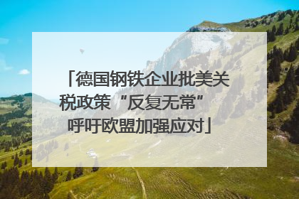 德国钢铁企业批美关税政策“反复无常” 呼吁欧盟加强应对