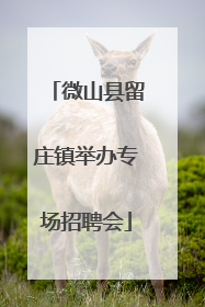 微山县留庄镇举办专场招聘会