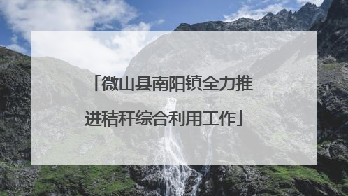 微山县南阳镇全力推进秸秆综合利用工作