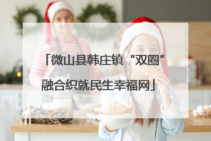 微山县韩庄镇“双圈”融合织就民生幸福网