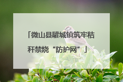 微山县驩城镇筑牢秸秆禁烧“防护网”