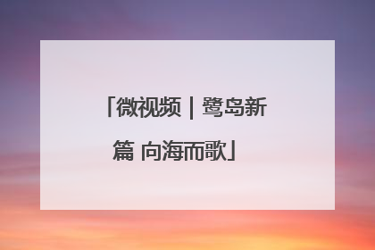 微视频｜鹭岛新篇 向海而歌