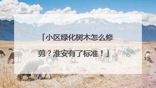 小区绿化树木怎么修剪？淮安有了标准！