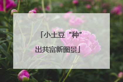 小土豆“种”出共富新图景