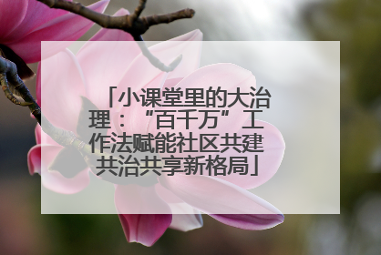 小课堂里的大治理：“百千万”工作法赋能社区共建共治共享新格局