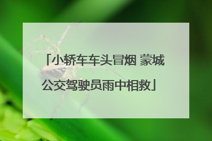 小轿车车头冒烟 蒙城公交驾驶员雨中相救