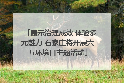 展示治理成效 体验多元魅力 石家庄将开展六五环境日主题活动